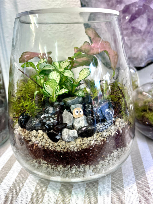 Little Fluff Terrarium