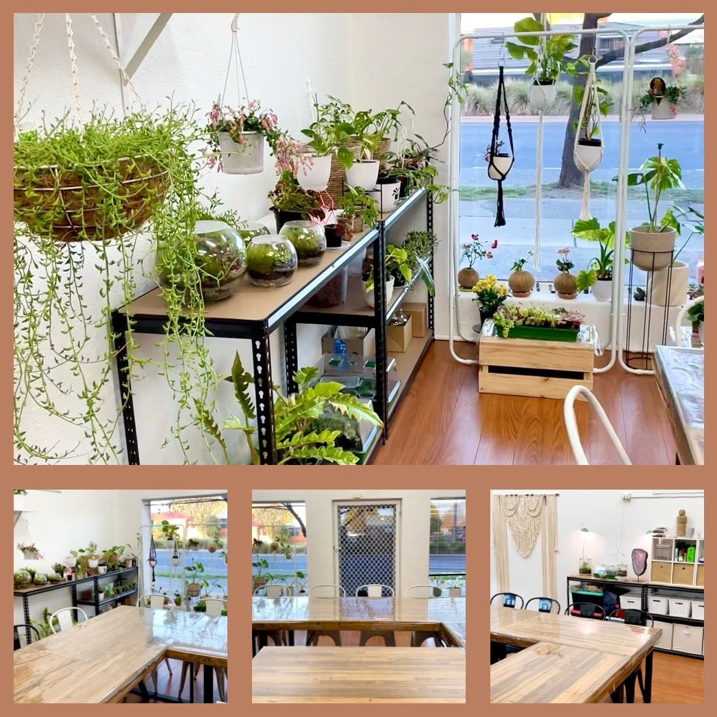 Host your Workshop or Event