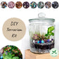 DIY Terrarium Kit - Rainforest Jar