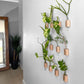 Tube Plant Propagation Hanger / Stand