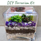 DIY Terrarium Kit Rainforest Cube