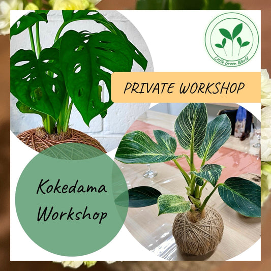 Private Kokedama Workshop