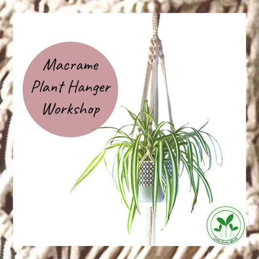 Macrame Plant Hanger Workshop