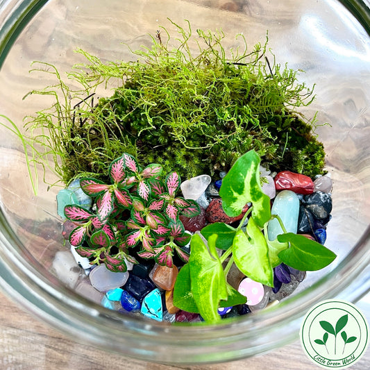 Rainforest Terrarium Jar - Rainbow Crystal Mix