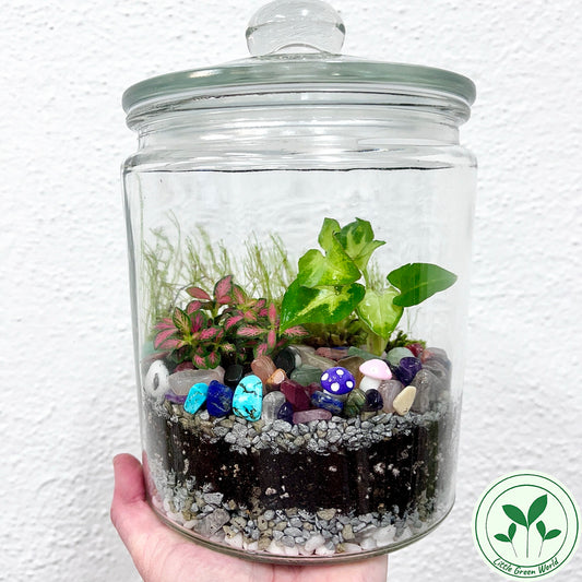 Rainforest Terrarium Jar - Rainbow Crystal Mix