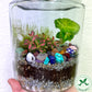 Rainforest Terrarium Jar - Rainbow Crystal Mix