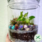 Rainforest Terrarium Jar - Rainbow Crystal Mix