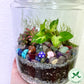 Rainforest Terrarium Jar - Rainbow Crystal Mix