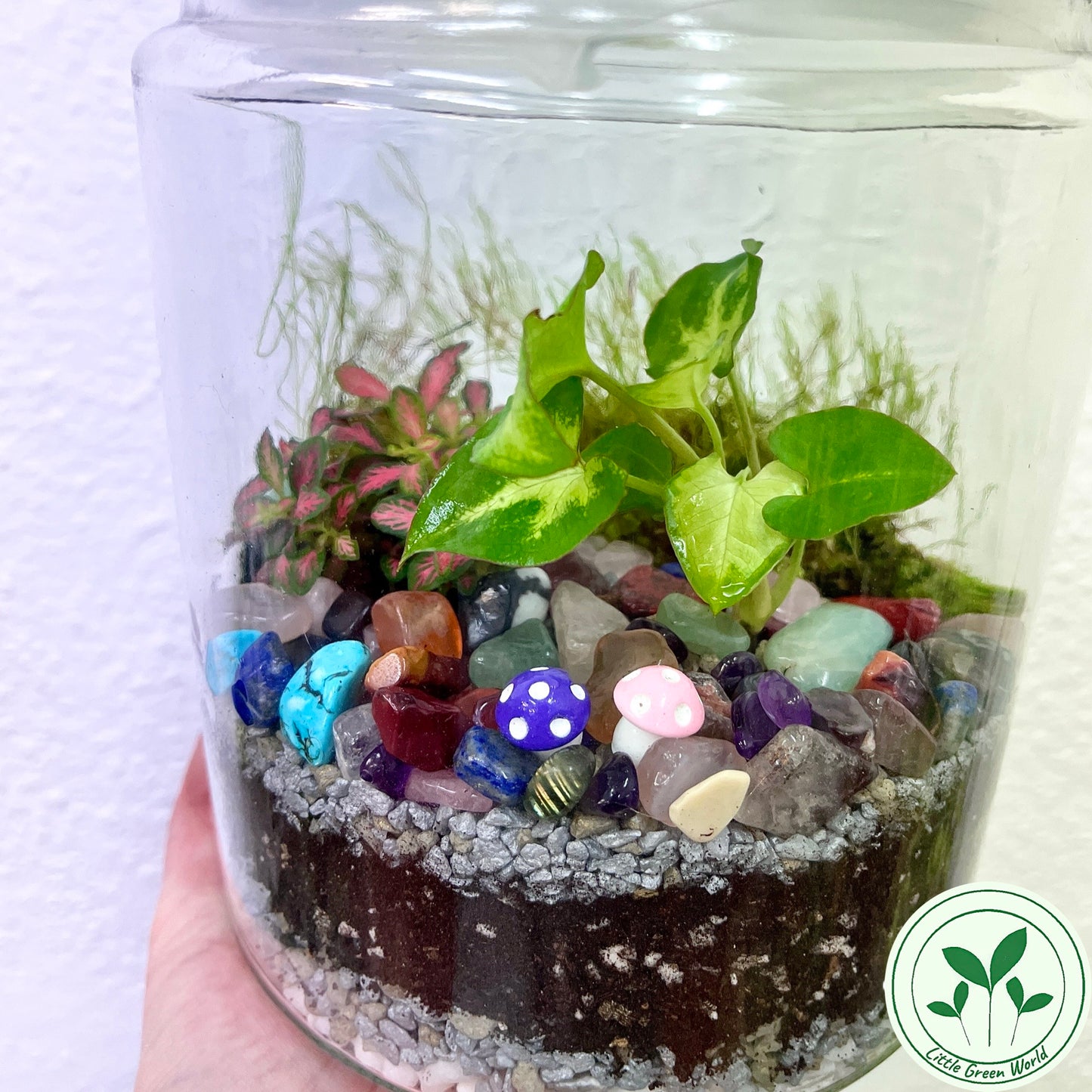 Rainforest Terrarium Jar - Rainbow Crystal Mix