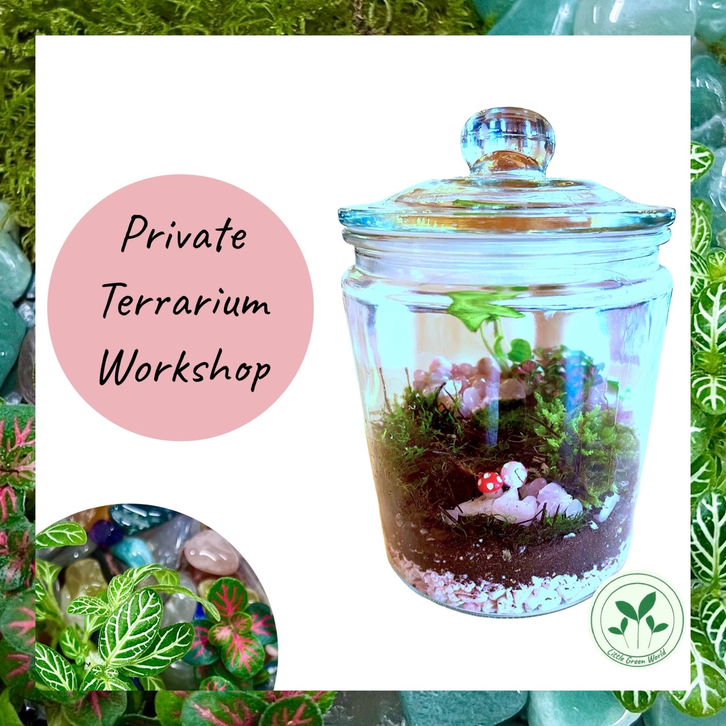 Private Terrarium Workshop