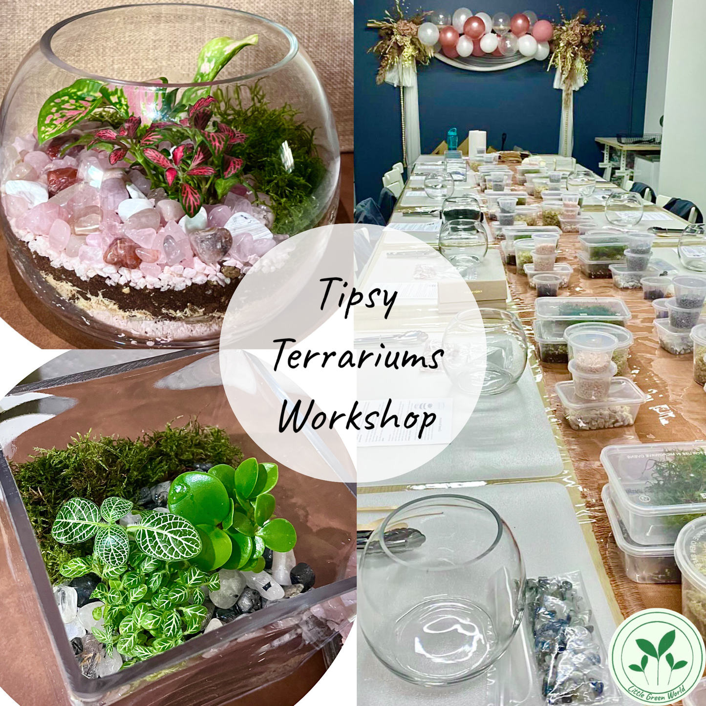 Tipsy Terrariums Workshop – Little Green World AU